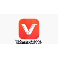 Video downloader